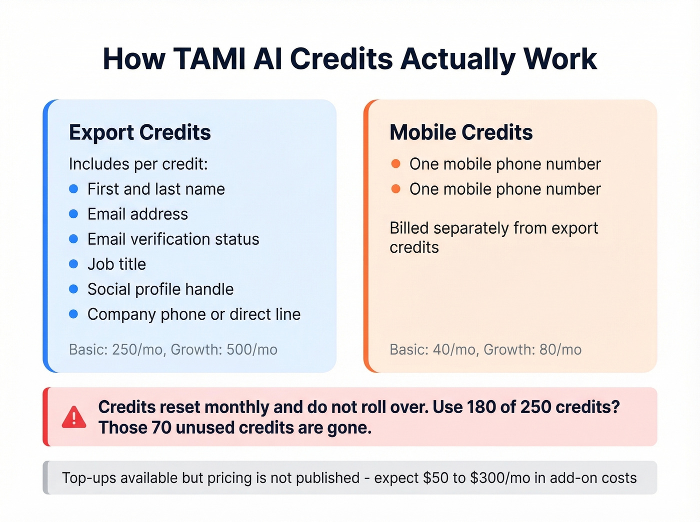 Visual explainer of TAMI AI export vs mobile credit system