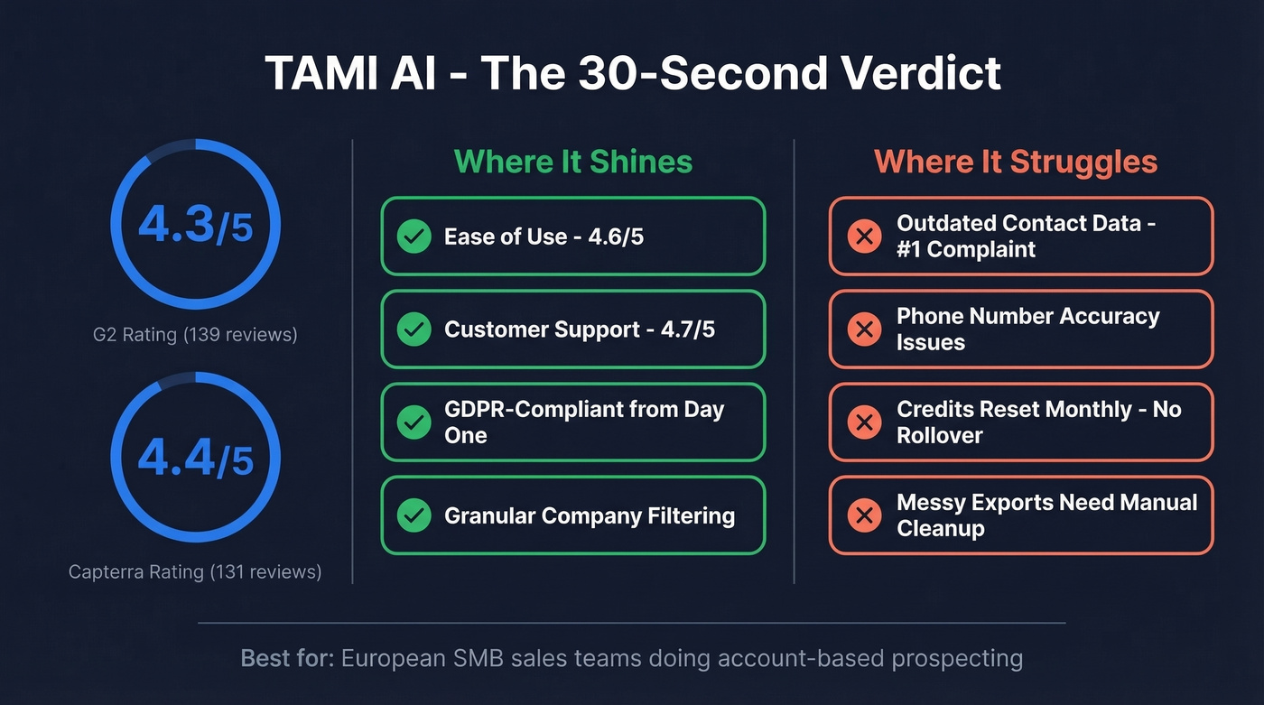 TAMI AI review scores and key pros and cons summary