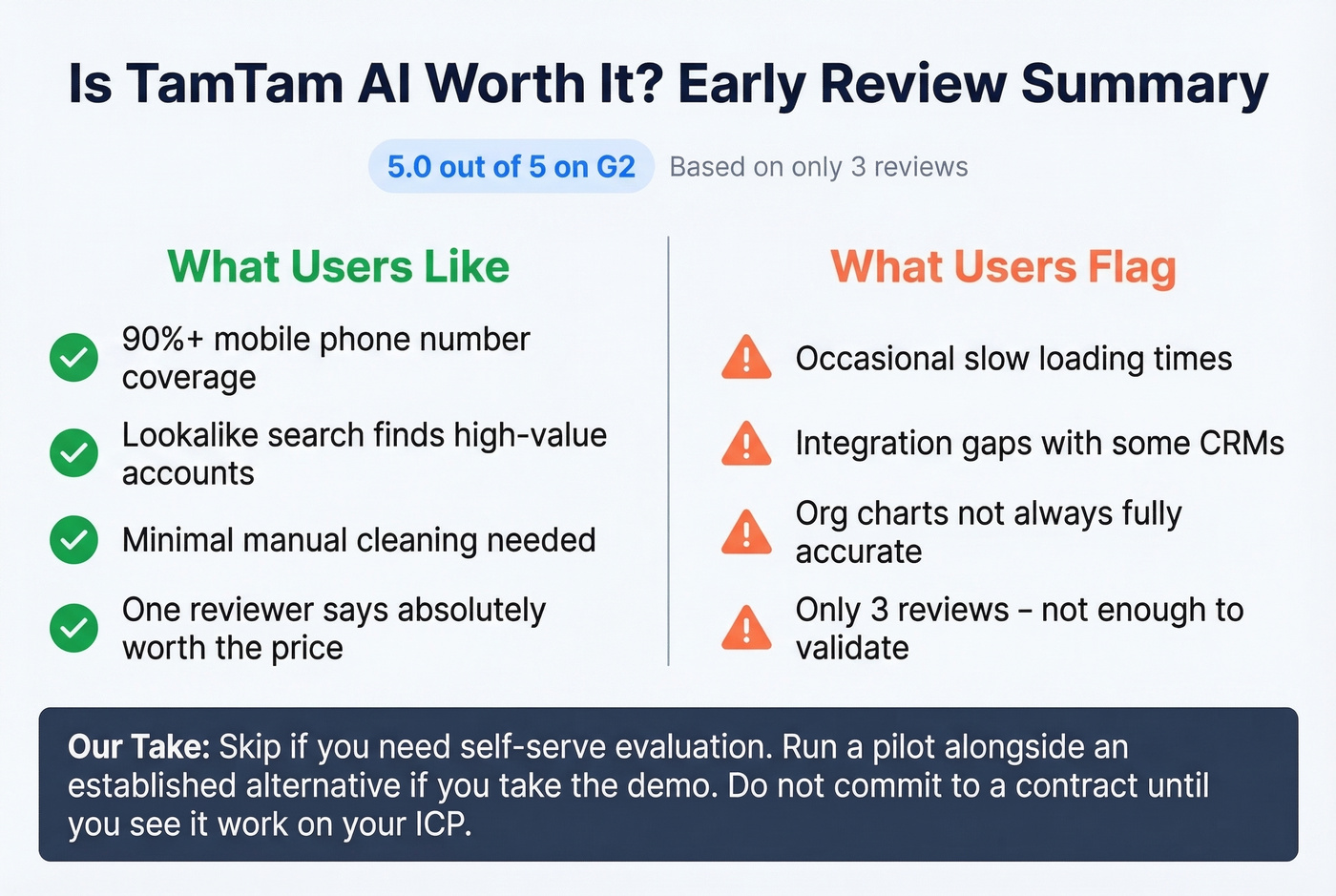 TamTam AI pros cons and review summary visual