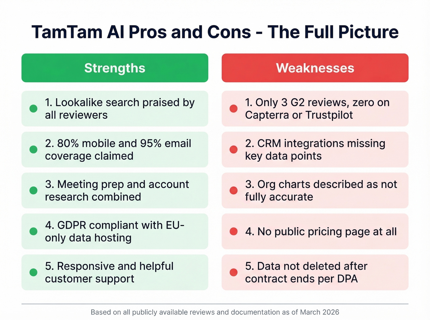TamTam AI pros and cons visual summary diagram