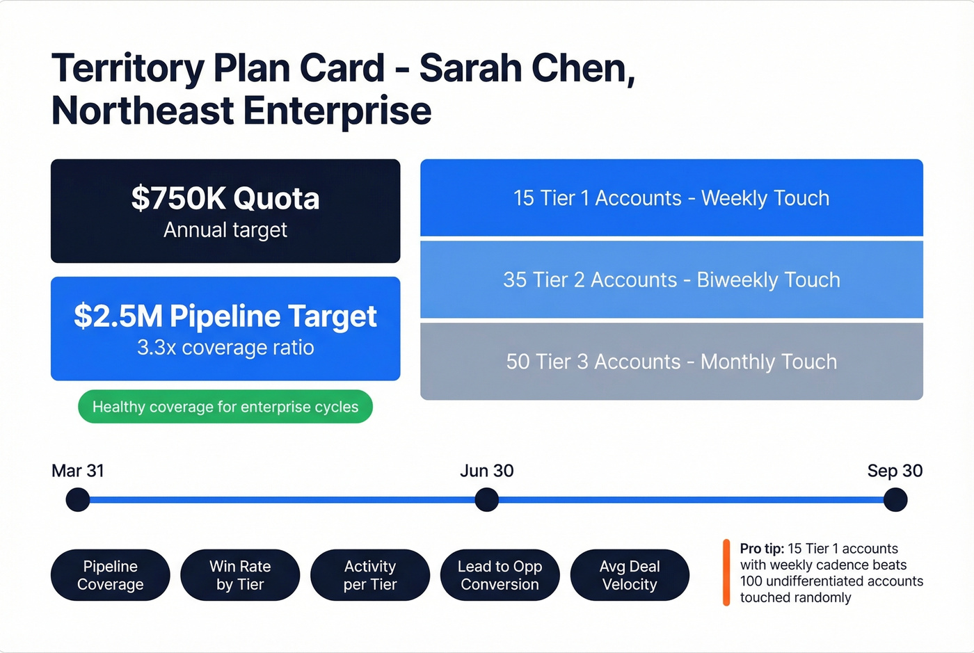 Sample territory plan card for a single rep