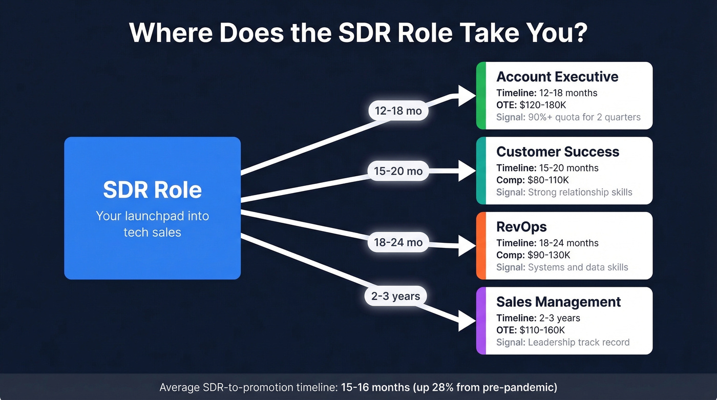 SDR career path branching into four roles with timelines