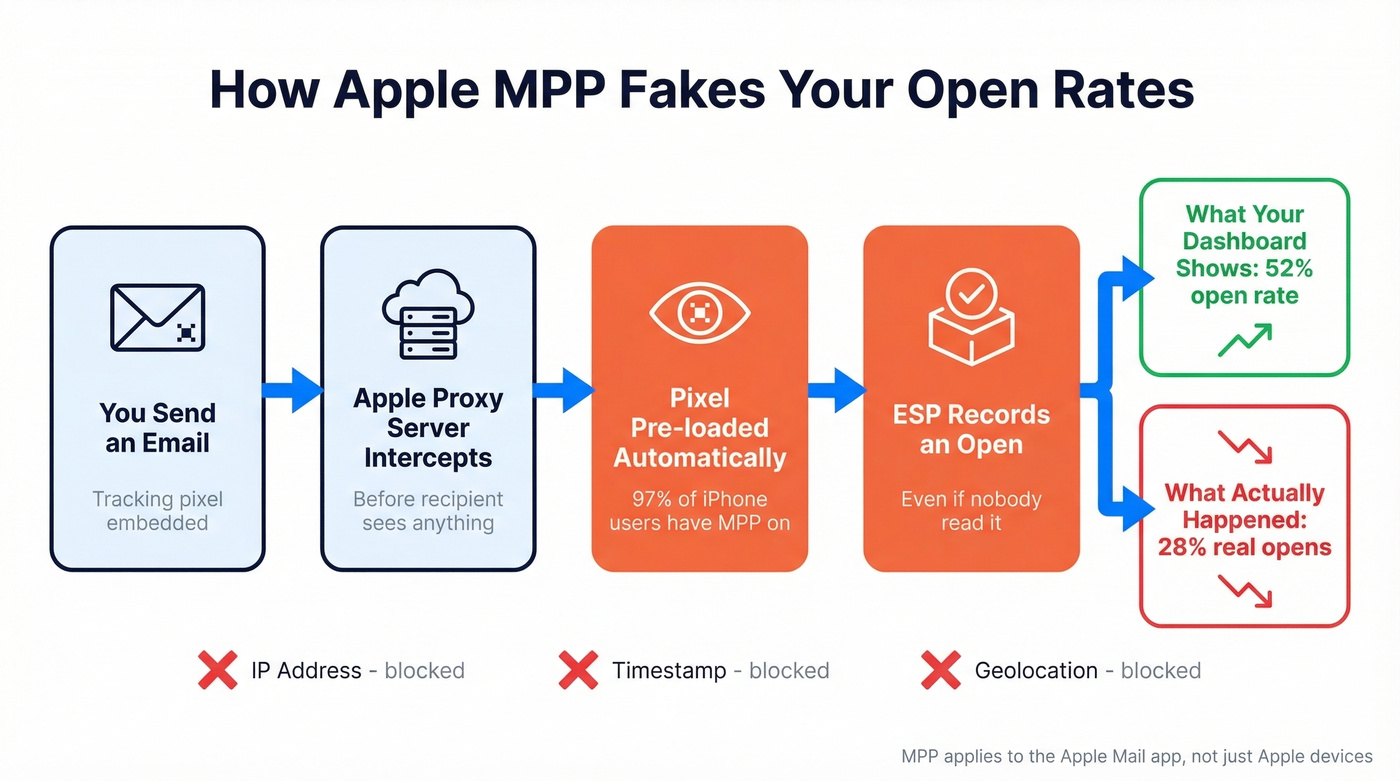How Apple Mail Privacy Protection inflates open rates