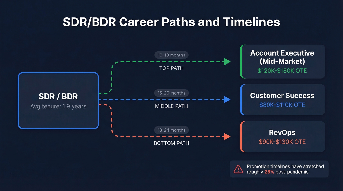 SDR BDR career path progression timeline