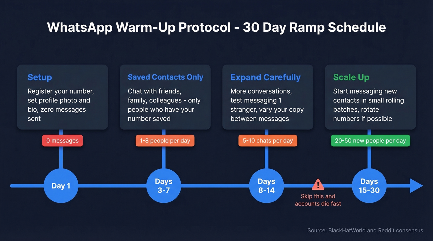 WhatsApp account warm-up schedule timeline over 30 days
