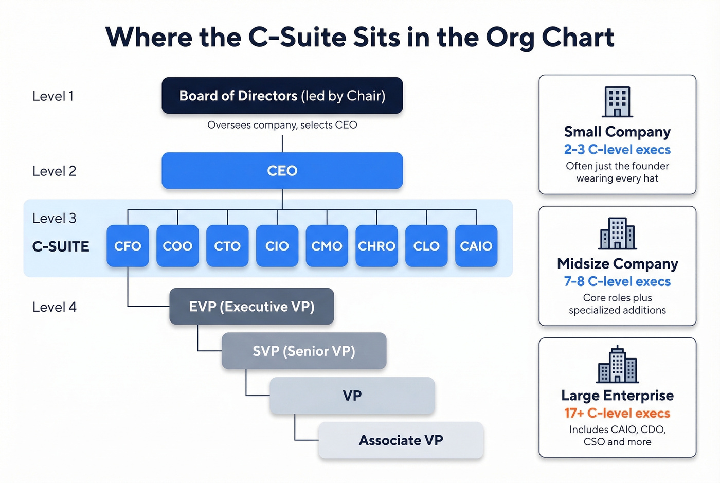 Company hierarchy from board to VP tiers by company size