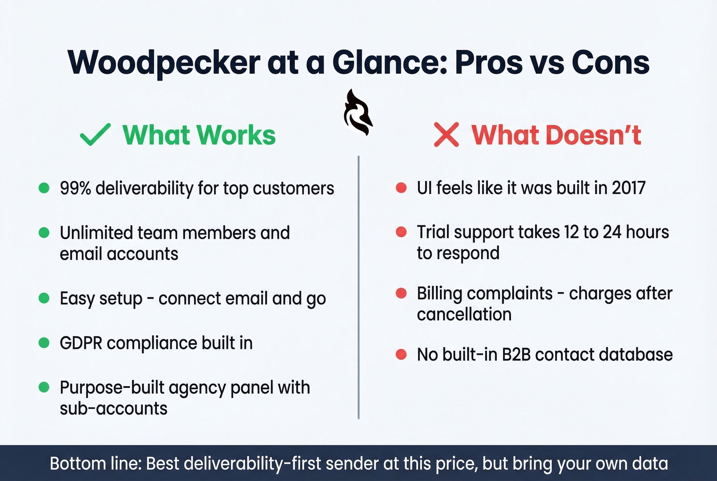 Woodpecker pros and cons visual summary card