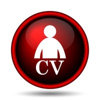 CVPRO - curriculumprofessionale