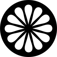 The Indian Maharadja