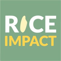 Rice Impact