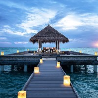 Maldives Hospitality Jobs logo