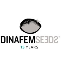 Dinafem Seeds