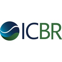 ICBR - Instituto dos Contadores do Brasil