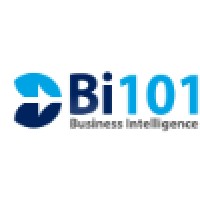 Business Intelligence 101