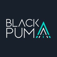 The Black Puma