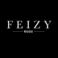 Feizy Rugs