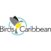 BirdsCaribbean