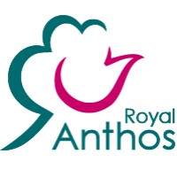 Royal Anthos