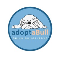 adoptaBull english bulldog rescue