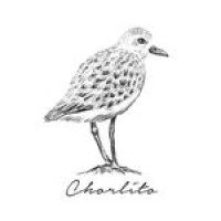 Chorlito - Ambos de diseño