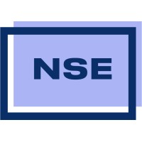 Скандинавская Школа Экономики (NSE)