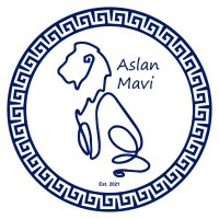 ASLAN MAVI Cities & Cultures of the World ‐ Consulting