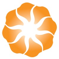 Arise Investments and Capital