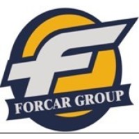 Shandong Forcar Motorsport Group