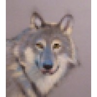 Pet & Wildlife Portraits