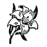 CableDataSheet Wire and Cable Consulting