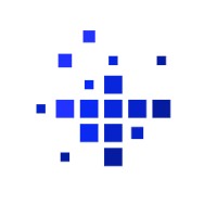 Digital Survival Group