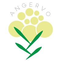 Luonto- ja kulttuuripalvelu Angervo