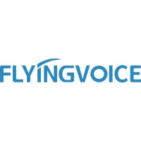 Flyingvoice Networks
