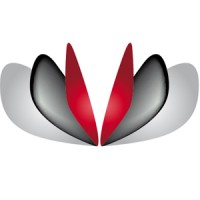 Stileventi Group Srl