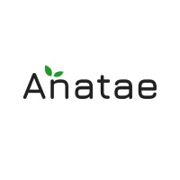 Anatae