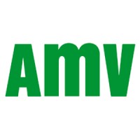 AMV Assurance