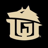 GAME-WORN Pro Hockey Tape