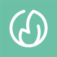 Green Web Marketing Agency | Creative nova design