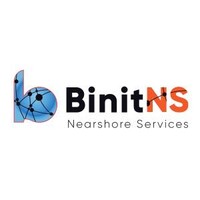 Binit Nearshore Services (BinitNS)