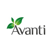 Laboratorio Avanti