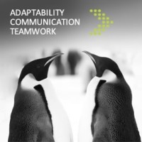 Kingston Consulting Global