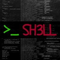 Shell Network