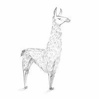 La Llama