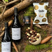 Firmagaveronline A/S