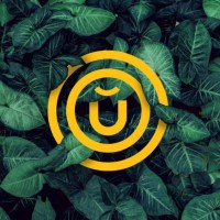 d-uñas | Uñas, Pestañas y Belleza