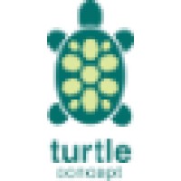 Turtle Concept