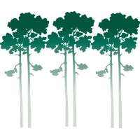 Tall Timbers Research Station & Land Conservancy