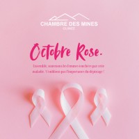 Chambre des Mines de Guinée