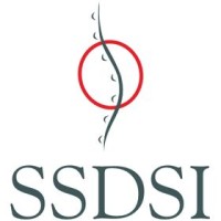 Six Sigma Development Solutions