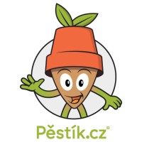Pěstík